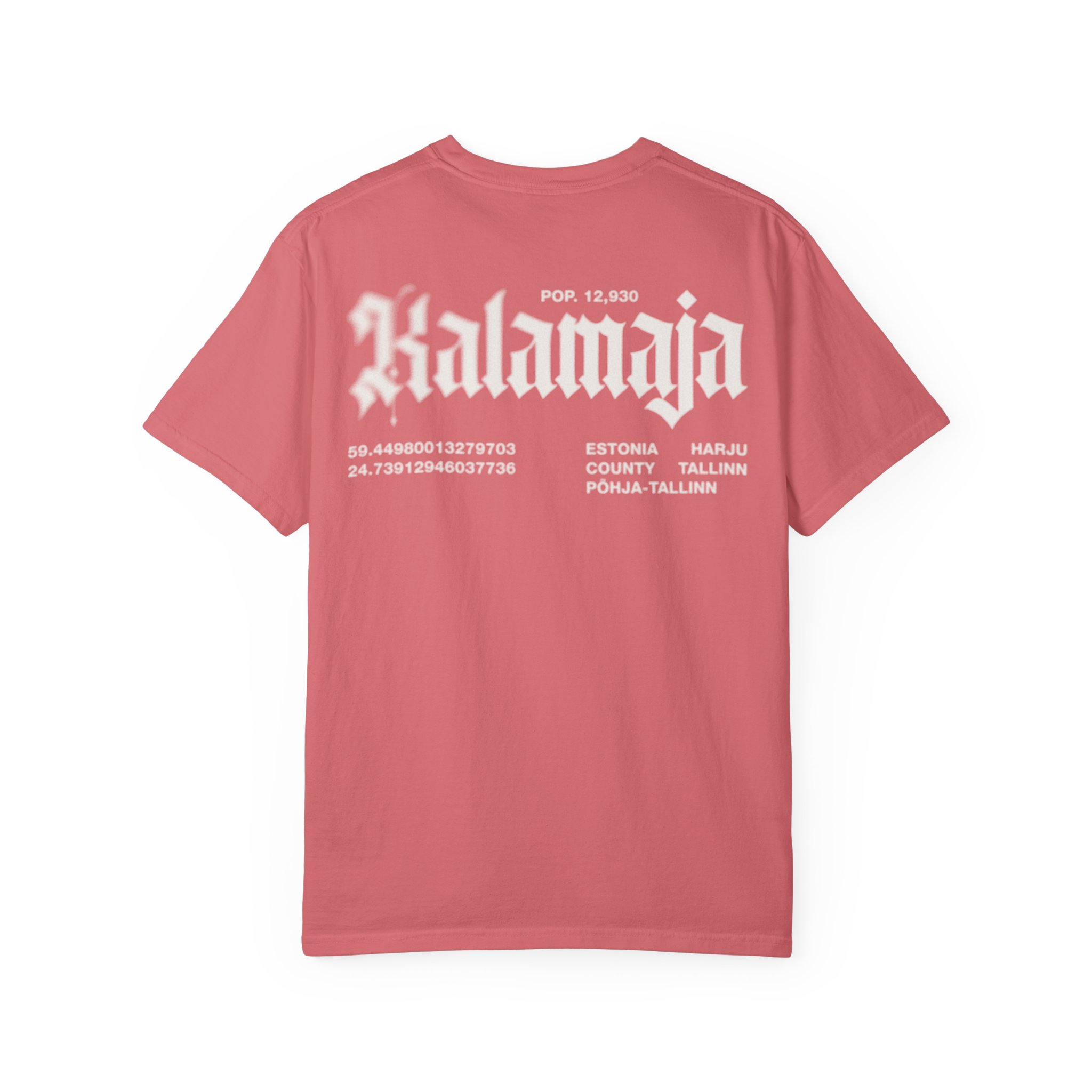 Kalamaja T-särk - Image 11